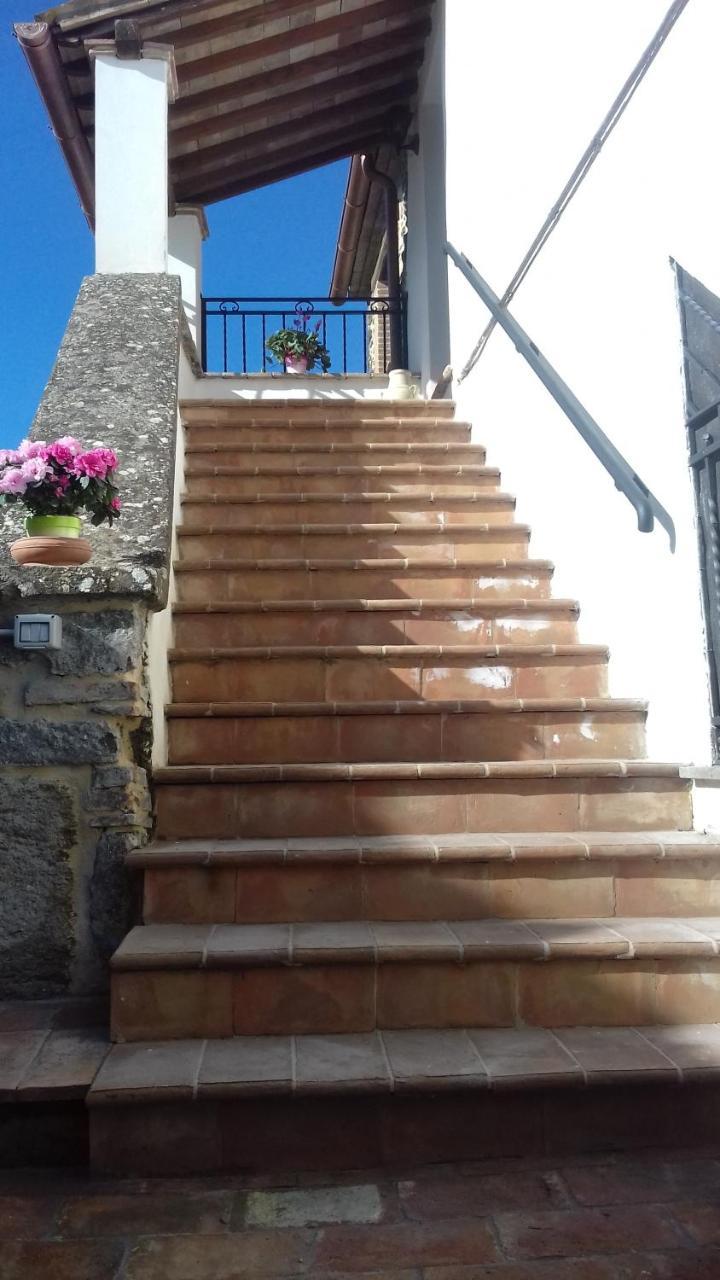 Casa Galli Castel Giorgio Esterno foto